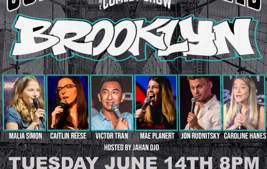 Somewhat Damaged Comedy